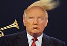 TrumpDonald.org
